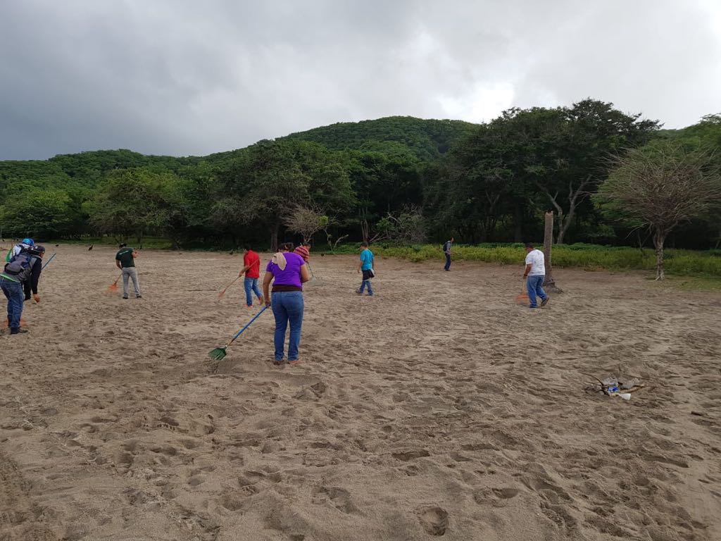 Tortugas1